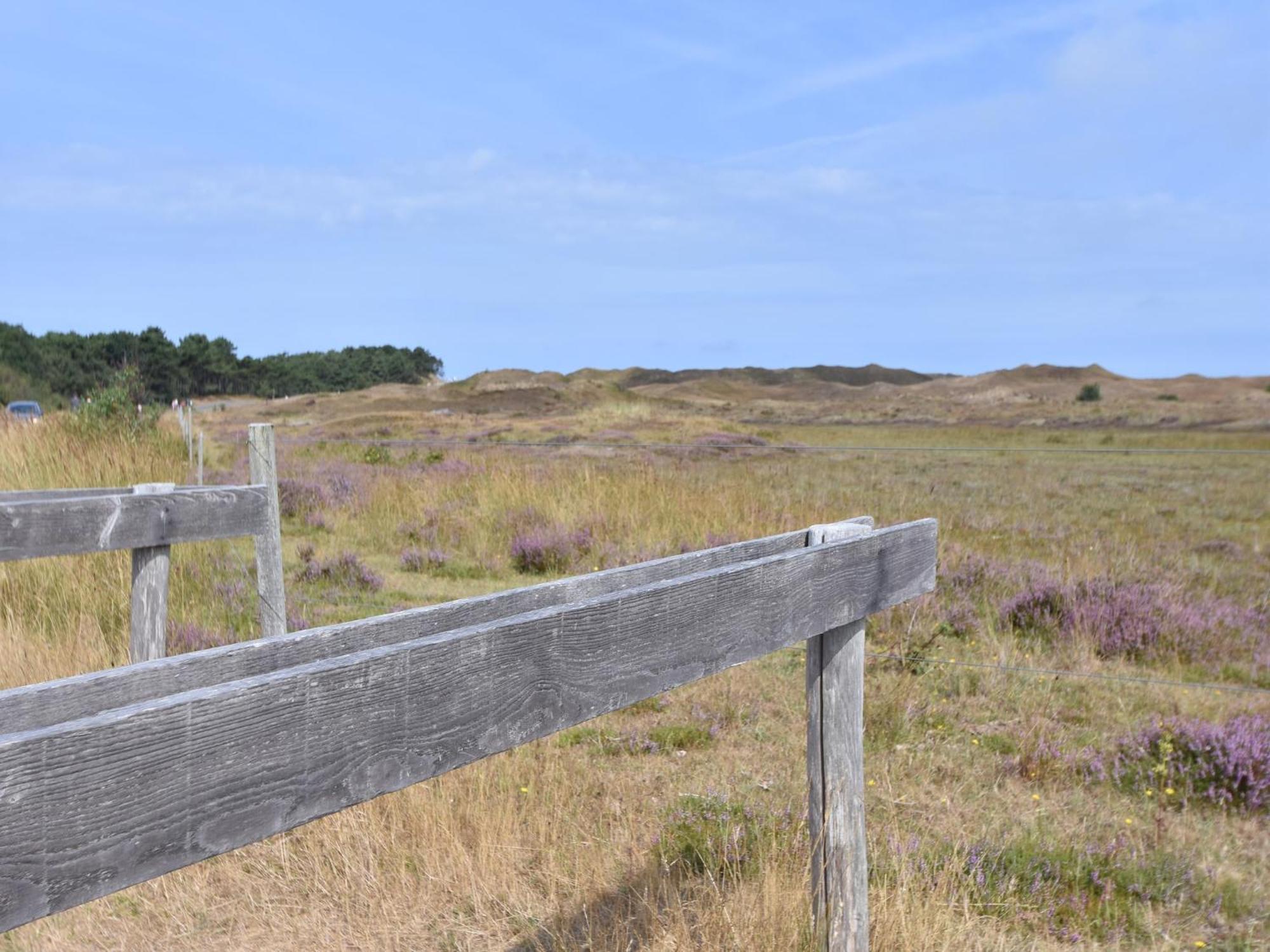 Lovely Holiday Home In Texel Near Sea Oost  Zewnętrze zdjęcie